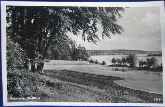 C&Co.™ 0012
