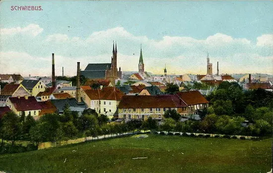 C&Co.™ 0103