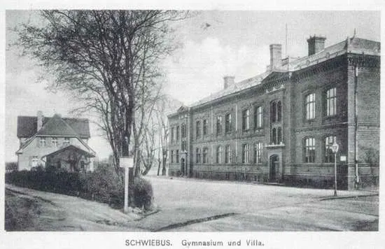 0195vg