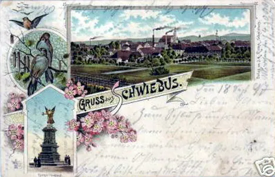 0305bg