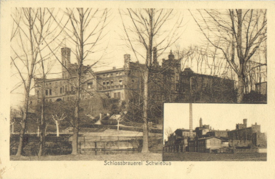 C&CO.™ 0168 - Awers