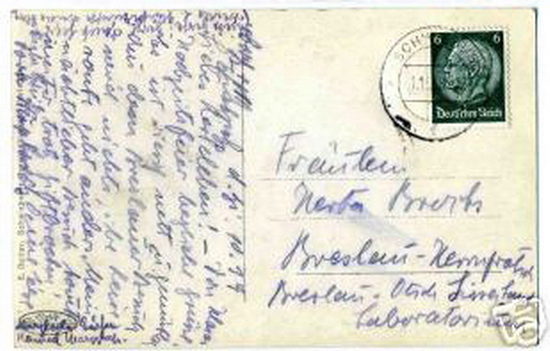 C&CO.™ 0179 - Rewers