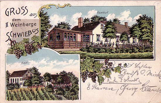 C&CO.™ 0219 - Awers