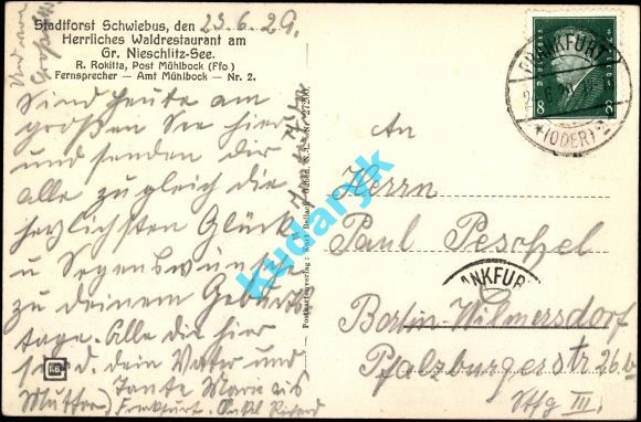 C&CO.™ 0260 - Rewers